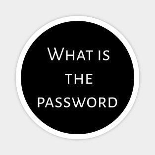 What is the password Magnet